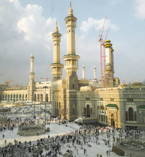 pexels-asap-jpeg-2829427-20184065